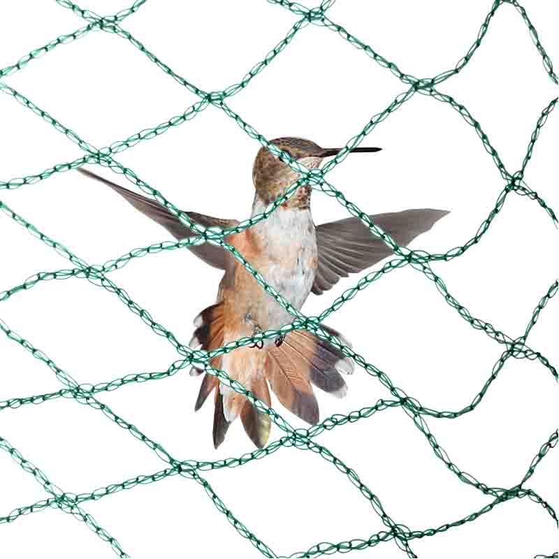 एन्टी बर्ड नेटको फाइदा के छ?
