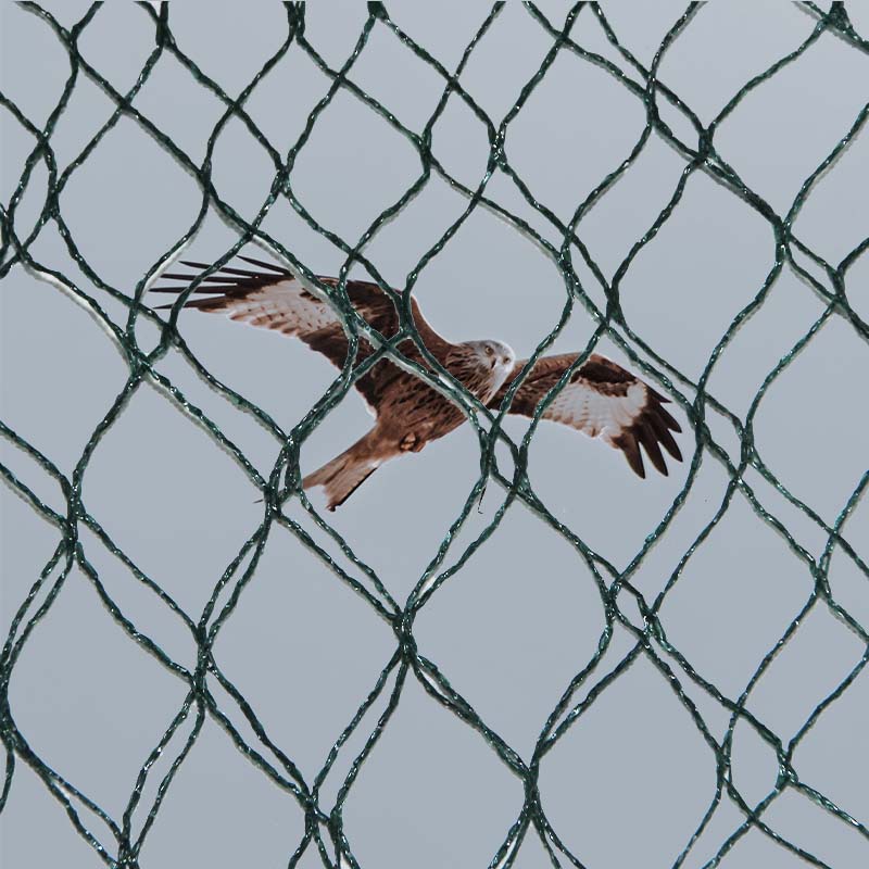 चरा रोकथाम जालका सामग्री विकल्पहरू र फाइदाहरू र हानिहरू के हुन्?