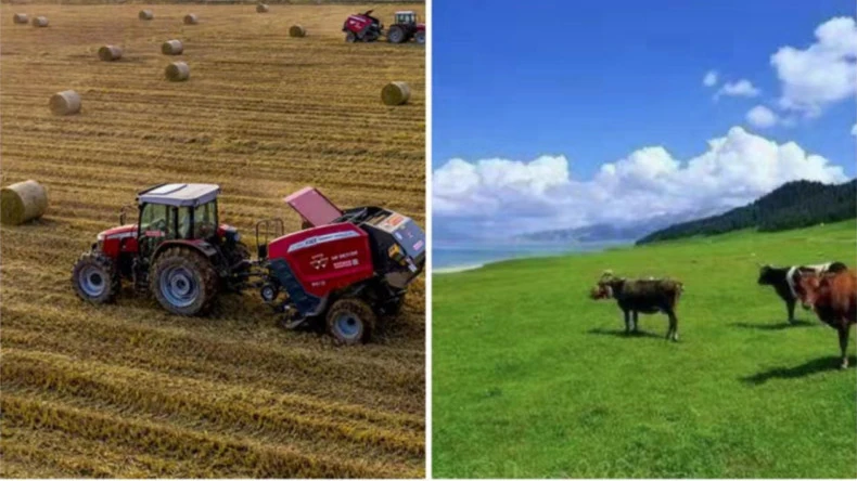 कृषि गतिविधिहरूमा बेल नेट र्यापको आवेदन