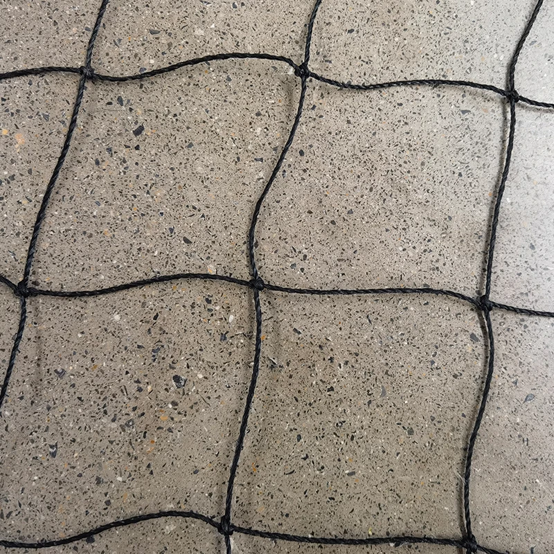 क्रिकेट नेटको भूमिका