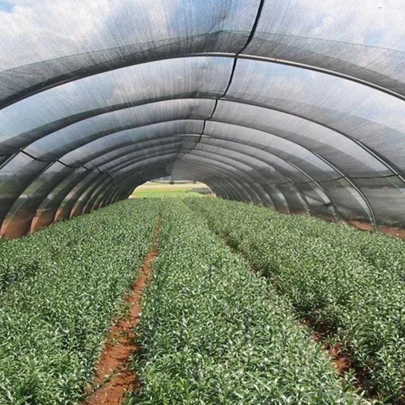 छायाको कपडाको चिसो प्रभाव राम्रो छ?