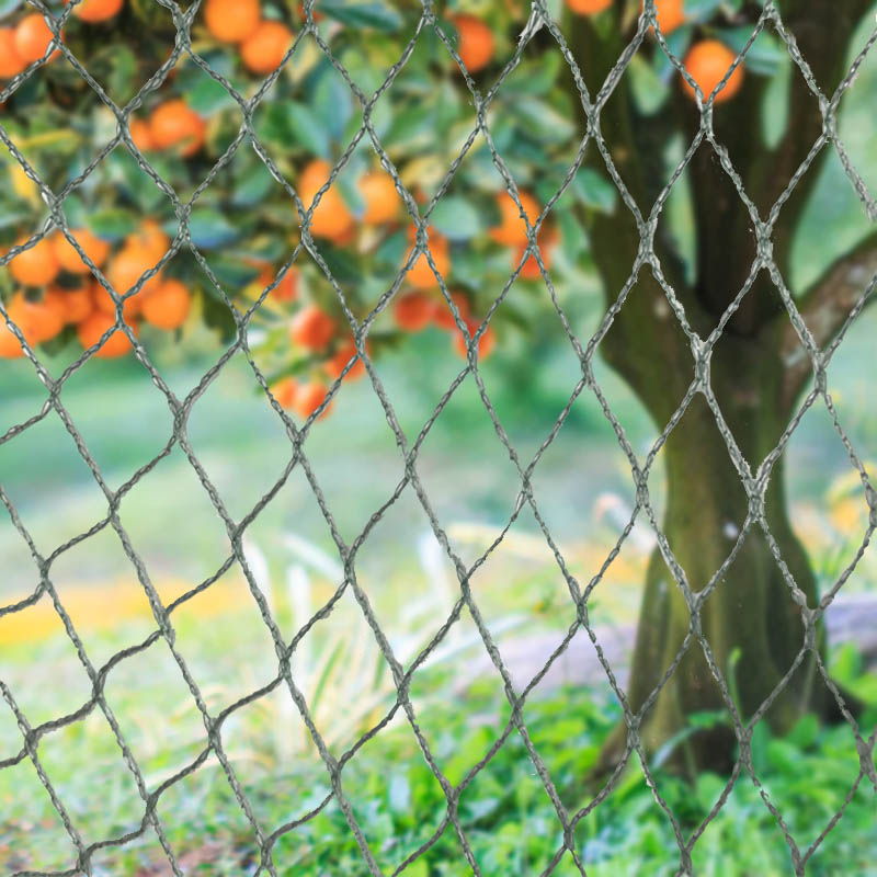 हाम्रो हेभी-ड्युटी बर्ड नेटिंगको साथ तपाईंको बाली, सम्पत्ति र लगानीको सुरक्षा गर्नुहोस्!